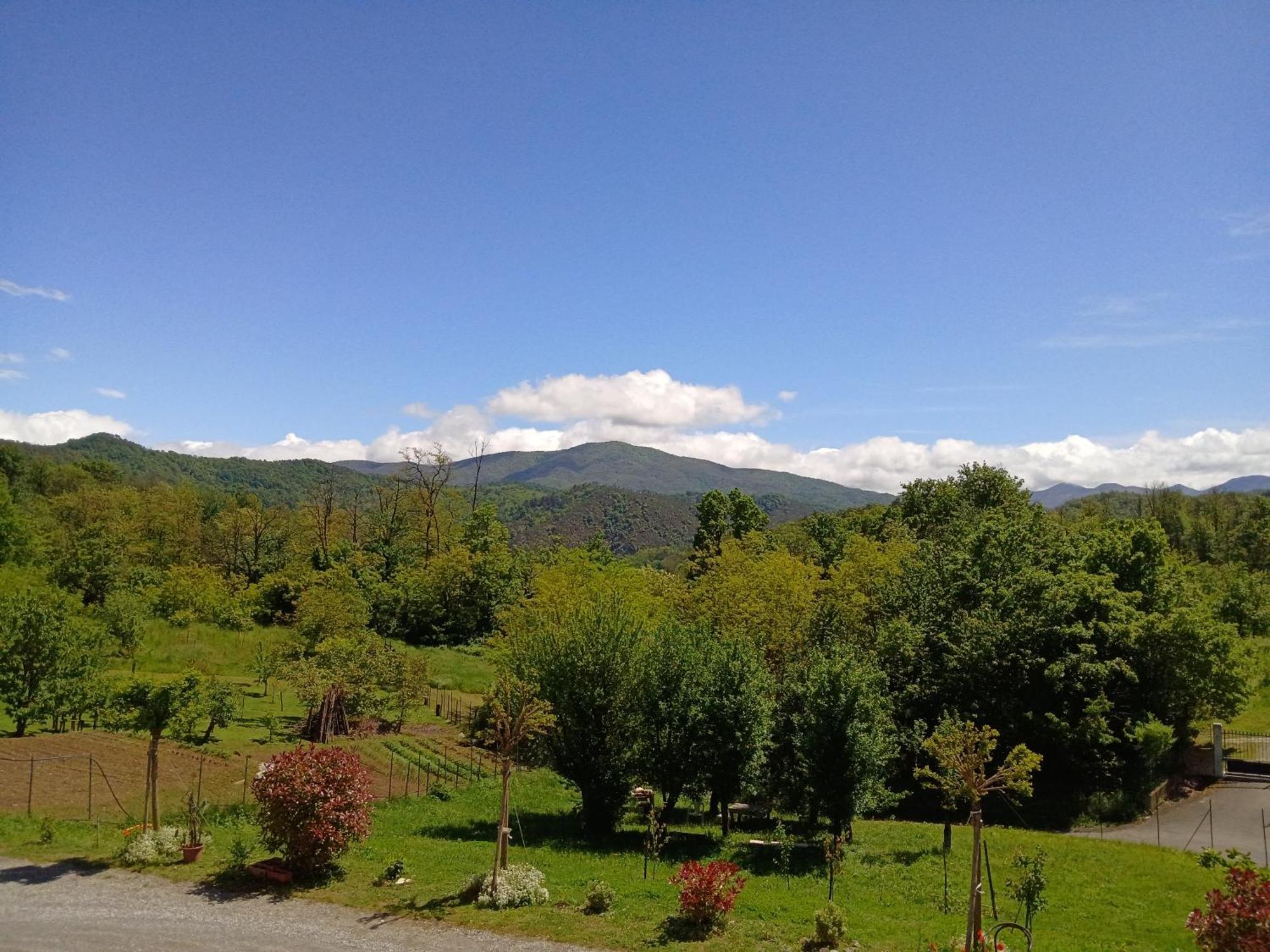Сasa de vacaciones Casa Chiarli-belforte Monferrato Tagliolo Monferrato